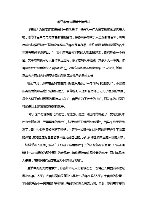 难兄难弟苍蝇博士读后感