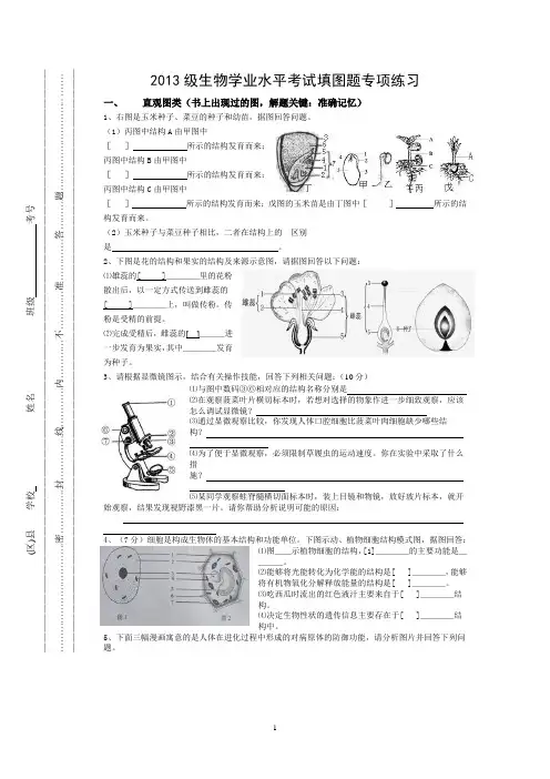 初中生物学业水平考试填图专练附答案