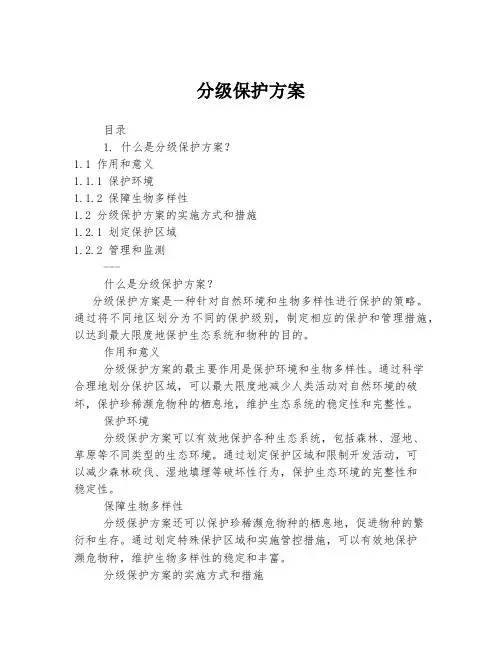 分级保护方案