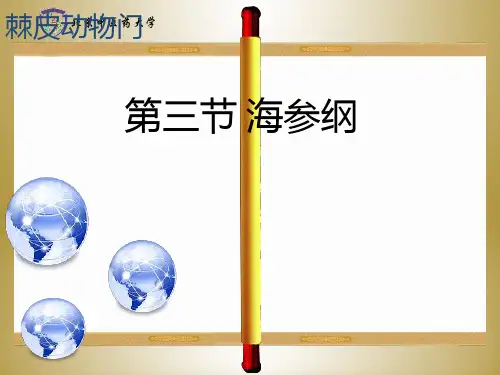 海参ppt课件