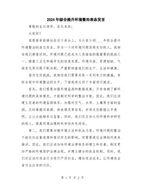 2024年综合提升环境整治表态发言