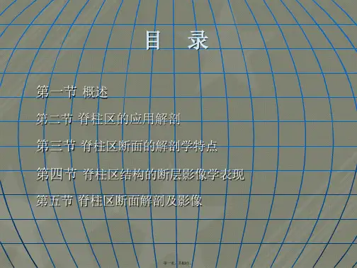 人体断面与影像解剖学—脊柱区+