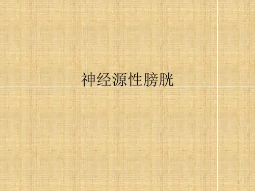 神经源性膀胱ppt课件