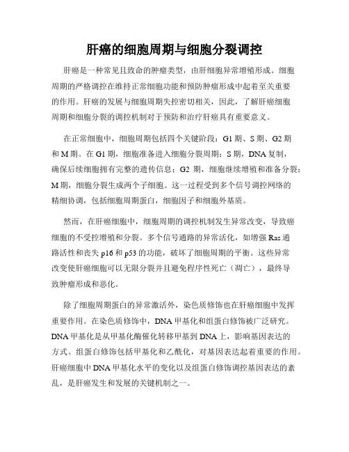 肝癌的细胞周期与细胞分裂调控