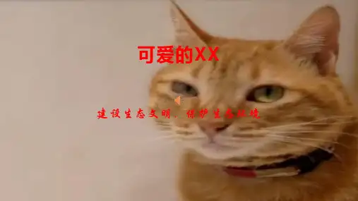 母亲之花——康乃馨课件(共26张PPT+音频)-2022-2023学年高中劳动技术