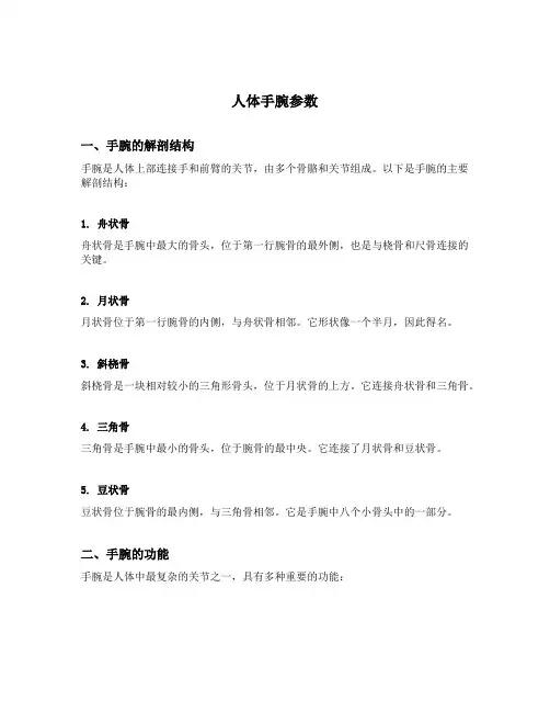 人体手腕参数