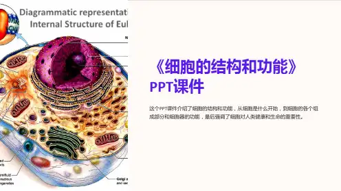 《细胞的结构和功能》课件