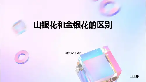 山银花和金银花的区别