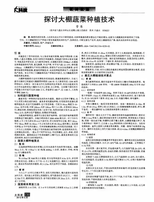 探讨大棚蔬菜种植技术