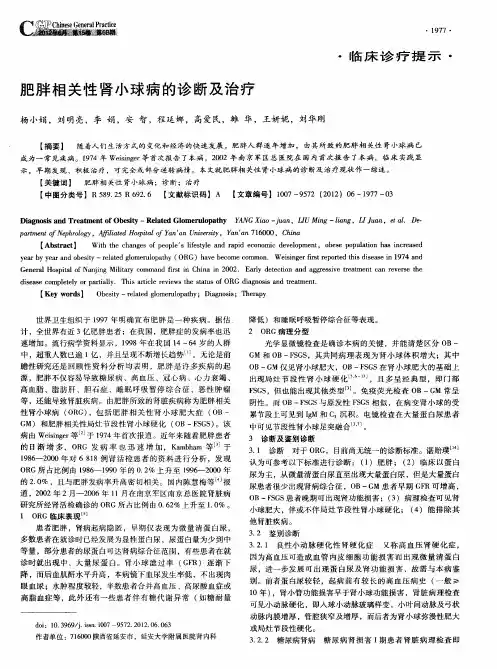 肥胖相关性肾小球病的诊断及治疗