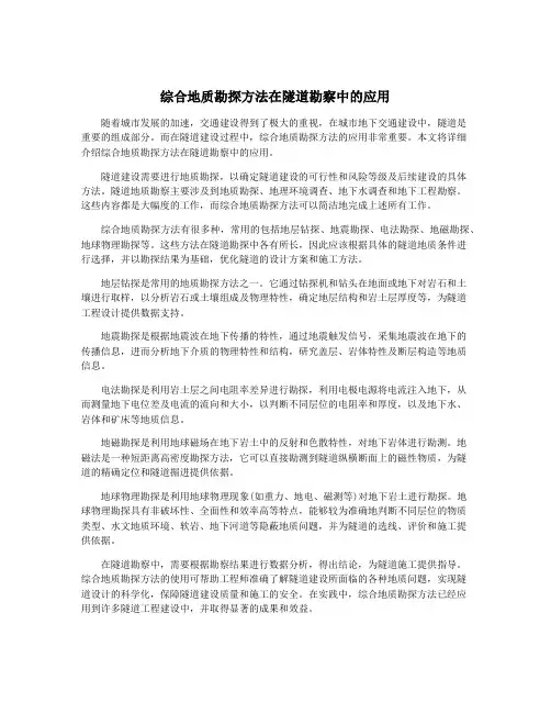 综合地质勘探方法在隧道勘察中的应用