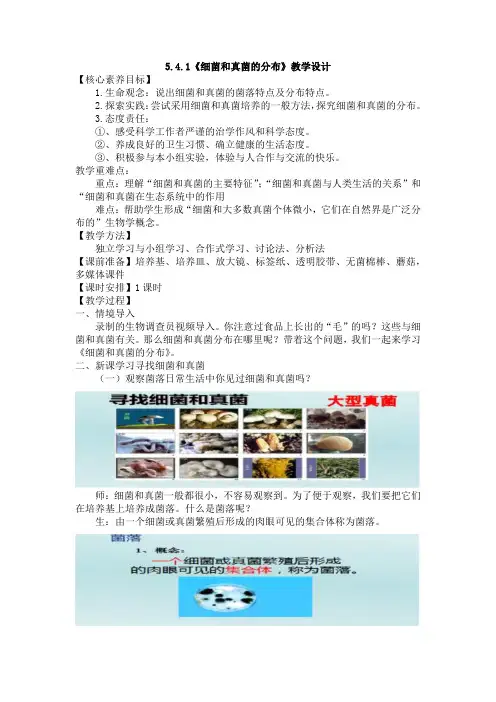5.4.1细菌和真菌的分布教案2023--2024学年人教版八年级生物上册