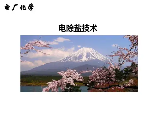 EDI电除盐技术