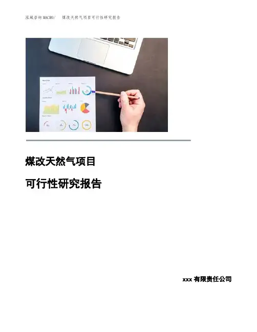 煤改天然气项目可行性研究报告