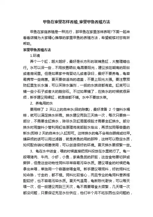 甲鱼在家里怎样养殖_家里甲鱼养殖方法