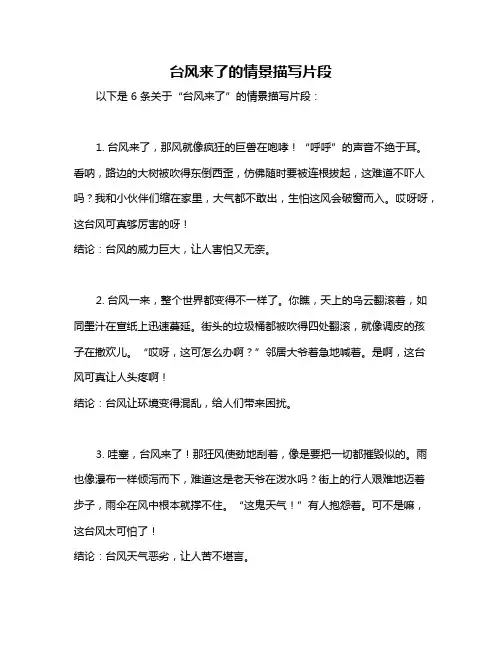 台风来了的情景描写片段