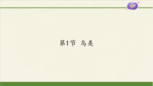 苏科版初中生物七年级下册课件-5.12.1 鸟类1