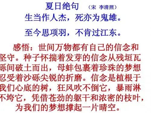 《蚂蚁》精品课件
