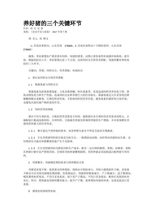养好猪的三个关键环节
