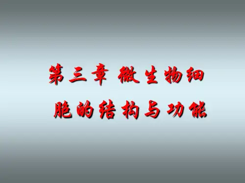 第三章-微生物细胞的结构与功能