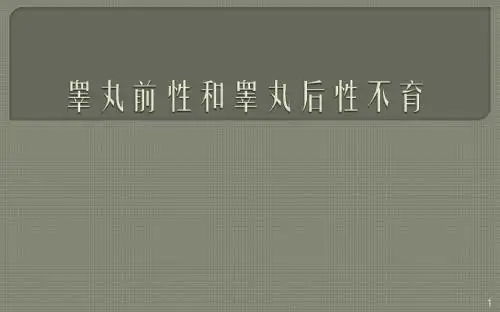 男性不育PPT课件