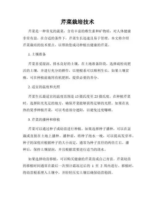 芹菜栽培技术