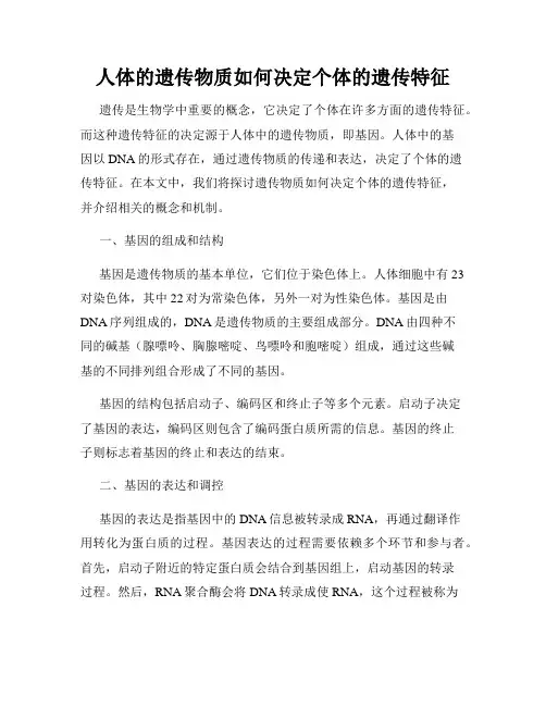 人体的遗传物质如何决定个体的遗传特征