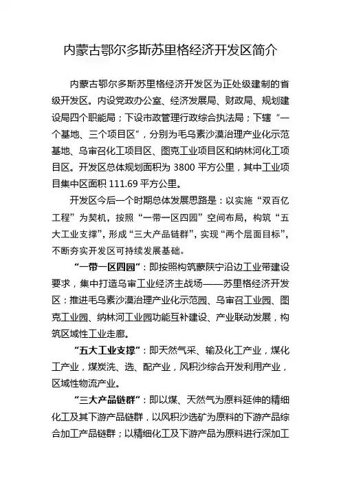 苏里格经济开发区简介官方版