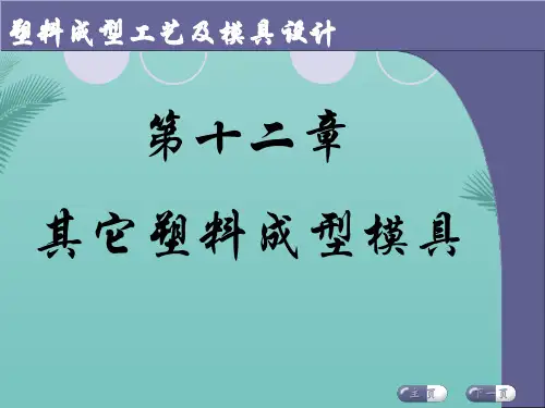 塑料成型工艺与模具设计PPT课件 第十二章 其他塑料成型模具精选PPT文档