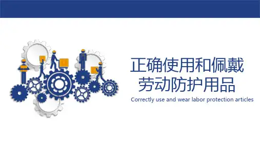 正确使用和佩戴劳动防护用品培训课件PPT