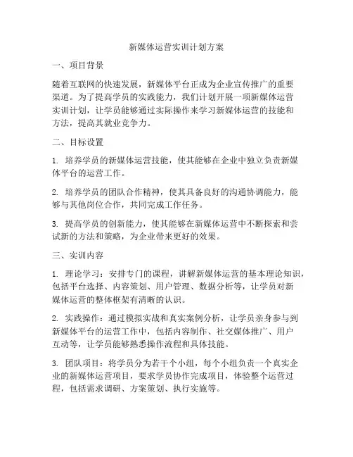 新媒体运营实训计划方案