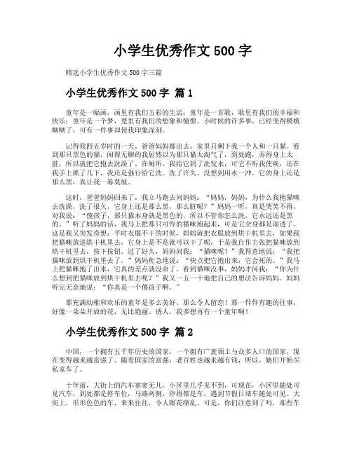 小学生优秀作文500字