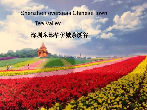 深圳东部华侨城-茶溪谷