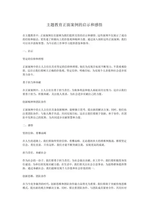 主题教育正面案例的启示和感悟