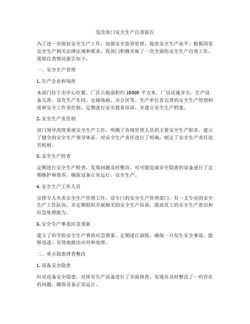 发改部门安全生产自查报告