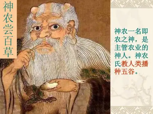 七年级上册历史第二课课件