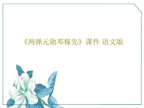 《两弹元勋邓稼先》课件 语文版PPT19页