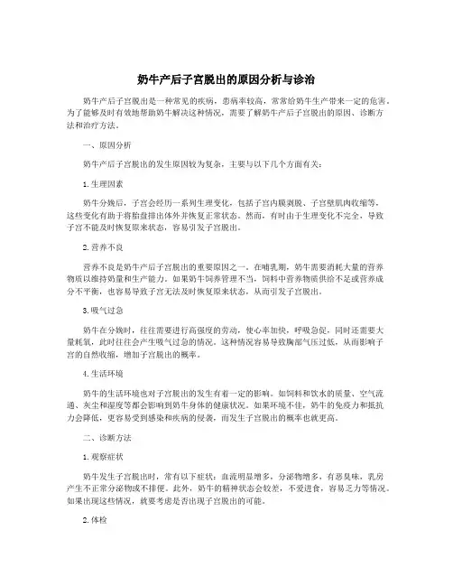 奶牛产后子宫脱出的原因分析与诊治