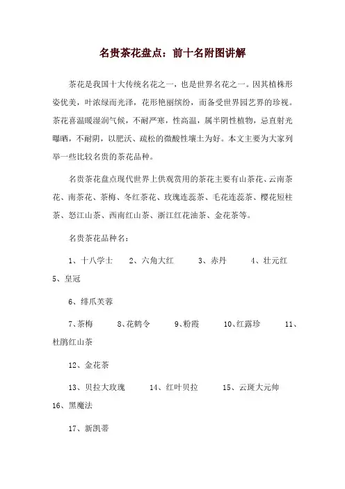 名贵茶花盘点：前十名附图讲解