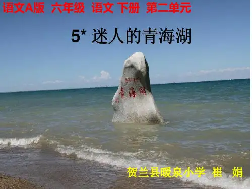 青海湖PPT课件