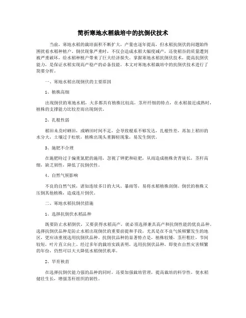 简析寒地水稻栽培中的抗倒伏技术