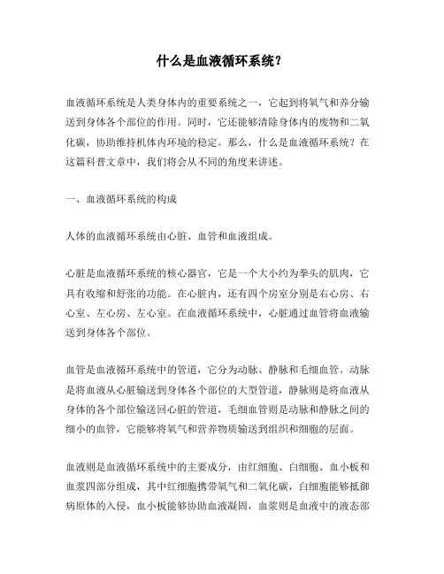 什么是血液循环系统？