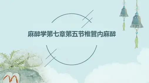 麻醉学.第七章.第五节椎管内麻醉PPT