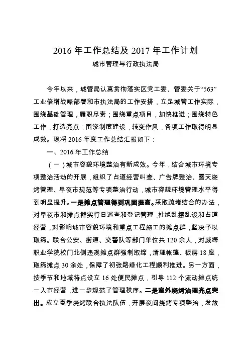 2016年工作总结及2017年工作计划