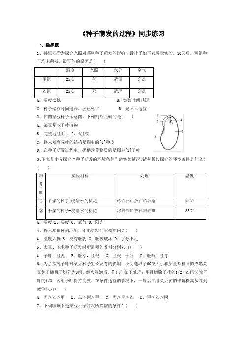 冀教版生物八年级上册 第三单元第一章《种子萌发的过程》同步练习2