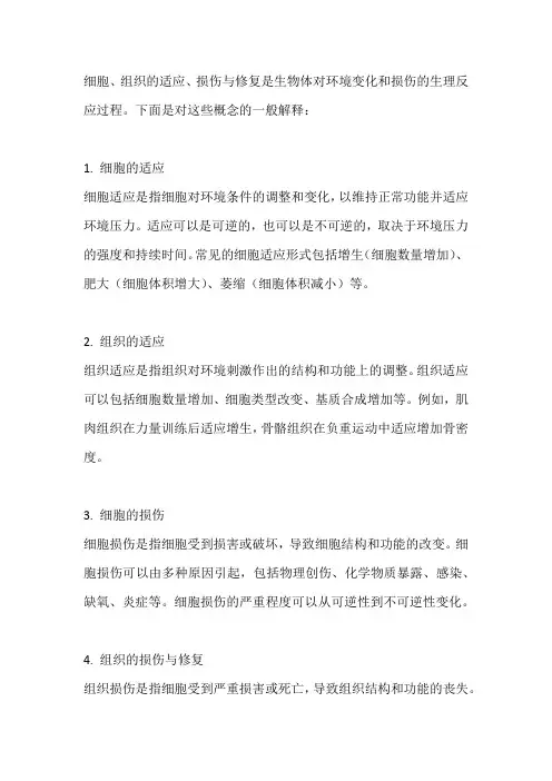 细胞、组织的适应、损伤与修复