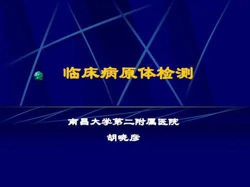11临床病原体检测