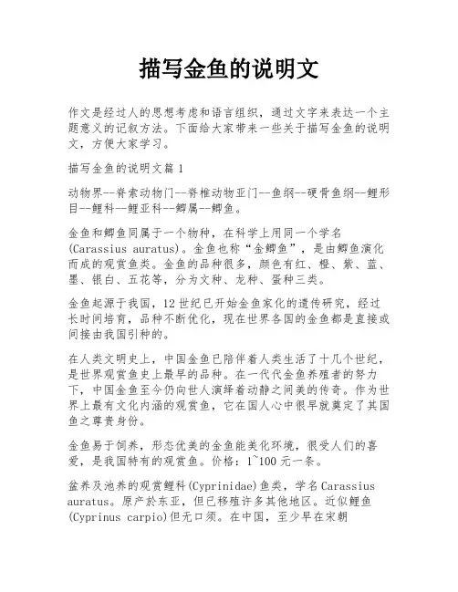 描写金鱼的说明文