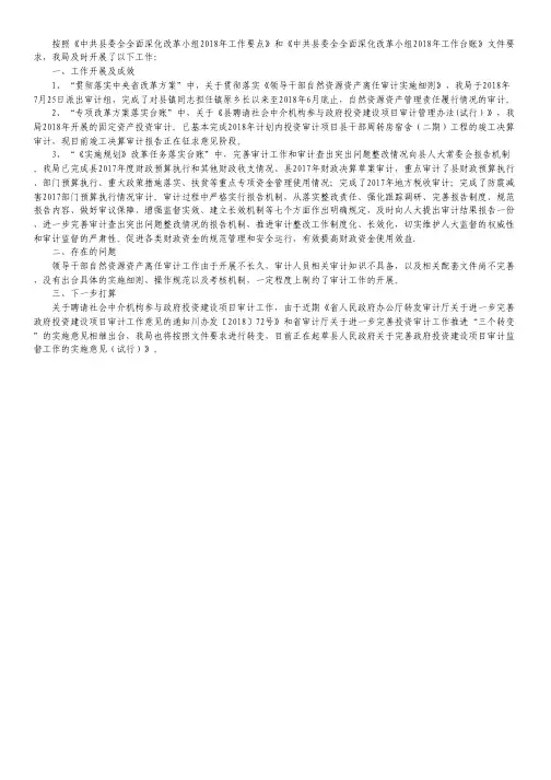 审计局深化改革工作总结.pdf