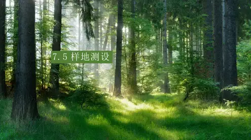 森林抽样调查—样地测设与调查(森林调查技术)
